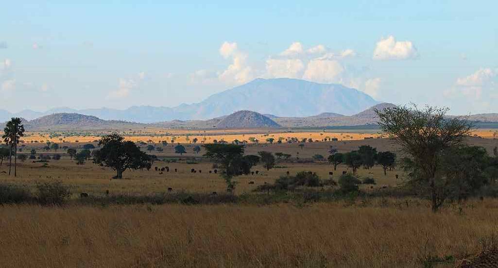 safari regions uganda