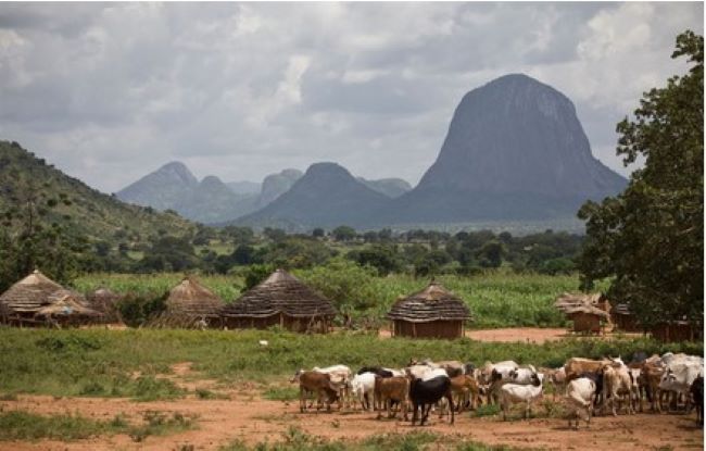 safari regions uganda