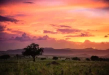 Visit Kidepo Valley N.P. IMG Kidepo Valley N.P.