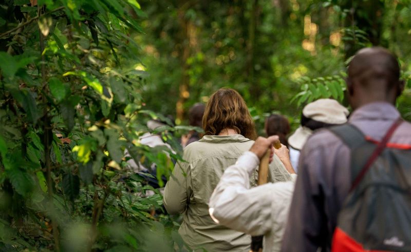 A day on safari in Uganda