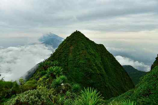 Trek the Mountains in Uganda