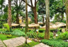 Kampala, the best restaurants IMG Kampala Best Restaurants