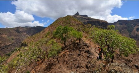 Trek Mountains in Uganda