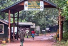Bwindi Impenetrable National Park Bwindi Impenetrable National Park