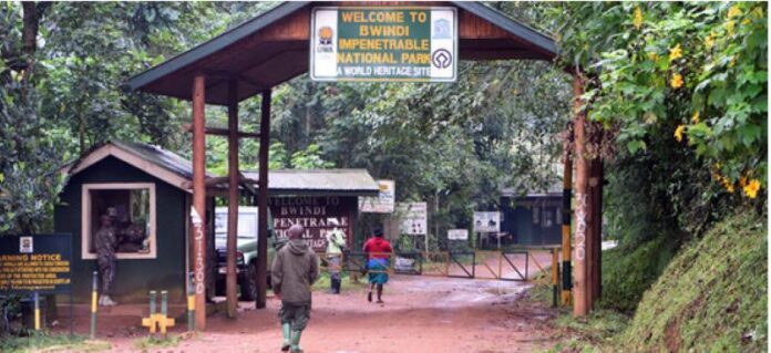 Bwindi NP Park Entrance 800x Bwindi Impenetrable National Park
