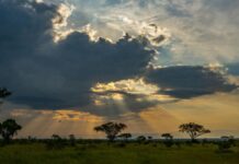 Queen Elizabeth National Park Queen Elizabeth National Park