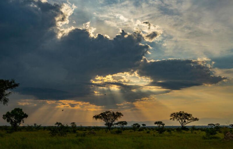 Queen Elizabeth National Park